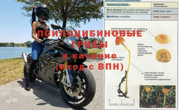 стаф Баксан