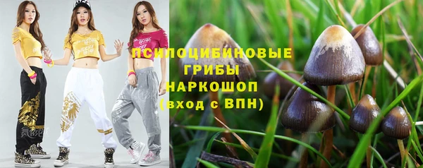 a pvp Армянск